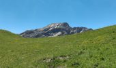 Randonnée Marche Vars - col de vars - vers tête du crachet - Photo 2