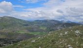 Trail Walking Caussols - De Caussols vers le sommet et le plateau de Calern - Photo 19