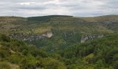 Tocht Stappen Meyrueis - Meyruies - Gorges de la Jonte - Grotte de Dagilan - Photo 14