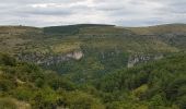 Excursión Senderismo Meyrueis - Meyruies - Gorges de la Jonte - Grotte de Dagilan - Photo 14