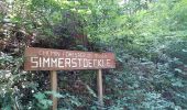 Tour Wandern Sentheim - Sentheim Schirm Knapphutte Sentheim - Photo 8