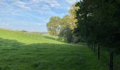 Tour Wandern Ternat - S-GR Groene Gordel: Ternat - Halle - Photo 9