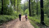 Tocht Noords wandelen Habscht - Septfontaines - Photo 3