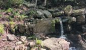 Trail Walking Jalhay - mon 8 de la statte  - Photo 17