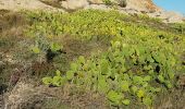 Excursión Senderismo Ramatuelle - PRESQU'ÎLE DE SAINT-TROPEZ - DE L'ESCALET AU CAP TAILLAT - Photo 4