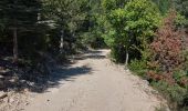 Tour Wandern Bédoin - Sur les traces du reboisement du Ventoux 1860 - Photo 5