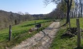Randonnée Marche Theux - neufmarteau . trou colas . royonpré . neufmarteau  - Photo 8