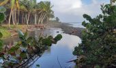 Excursión Senderismo Le Lorrain - La Crabiere Anse rivière Rouge - Photo 6