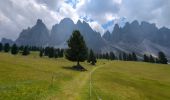 Tocht Stappen Villnöß - Funes - Puez Geisler - Gschnagenhardt et Glatschalm - Photo 14