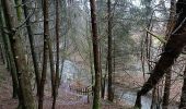 Tocht Stappen Bütgenbach - Viaduc et barrage lac Butenbach et la Warche - Photo 4