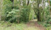 Trail Walking Perrogney-les-Fontaines - sur les hauts: Sommets de Haute Marne - Photo 3