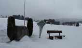 Tour Zu Fuß Haidmühle - Hirschbergsteig - Photo 3