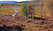 Tour Zu Fuß Unknown - Loch Kinord Trail - Photo 2