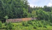 Percorso Marcia Ottenhöfen im Schwarzwald - Karlsruher Grat  - Photo 10