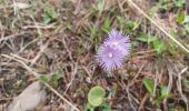 Tour Wandern Allos - ALLOS. LAC D ALLOS. COL DE LACAYOLE .O - Photo 7