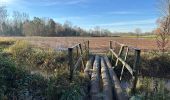 Trail Walking Herentals - Herentals 24,7 km - Photo 15