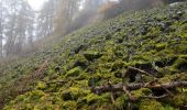 Trail On foot Nečtiny - modrý místní okruh Manětín - Nečtiny - Manětín - Photo 1