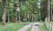 Tocht Stappen Libramont-Chevigny - Bras-carriere - Photo 5