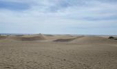 Trail Walking San Bartolomé de Tirajana - Les dunes de Maspalomas (Gran Canaria) - Photo 8