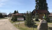 Tour Zu Fuß Schwielochsee - Wanderweg grüner Balken Groß Leuthen-Goyatz - Photo 7