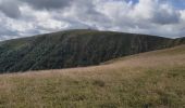 Tour Wandern Xonrupt-Longemer - Pic du Hohneck - Photo 4