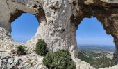 Tour Wandern Saint-Rémy-de-Provence - Plateau de Caume - Photo 13
