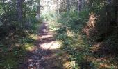 Trail Walking Brey-et-Maison-du-Bois - Belvedere des 2 lacs - Photo 1