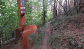 Trail Walking Fontan - Berghe - Cime Corvo - Photo 1