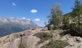 Trail Walking Chamonix-Mont-Blanc - Les Tines ,les Bois,les Mottets,Chamonix et retour par petit balcon sud - Photo 8