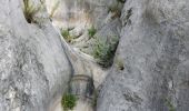 Randonnée Marche Plan-de-Cuques - Vallon de la Mauvelle et des Ouides - Photo 13