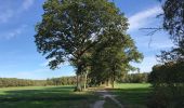 Tocht Stappen Stabroek - Kapellen 22 km - Photo 11