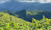 Tour Wandern Getaria - Zumaia - Photo 7