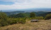 Tour Wandern Murbach - Murbach - Grand Ballon - Lac du Ballon - Col du Wolfsgrube - Photo 9