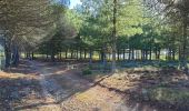Tour Wandern Collobrières - les sources de la Giscle - Photo 2