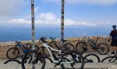 Trail Mountain bike Sault - ventoux - Photo 1