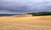 Tocht Te voet Villeneuve-sur-Yonne - Villeneuve Sur Yonne - Sens 32 km étape 1/3 - Photo 3