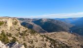 Tour Wandern Saint-Étienne-du-Valdonnez - Montmirat - Photo 6