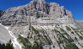 Randonnée Marche Gresse-en-Vercors - Circuit crêtes de Quinquambaye, Grand Brisou, crêtes d'Aleyron - Photo 6