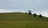 Tour Wandern Linthal - Linthal - Petit Ballon - Klintzkopf - Photo 5