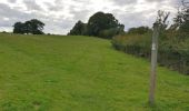 Tour Zu Fuß Wyre Forest - Habberley Valley Circular Walk - Photo 10