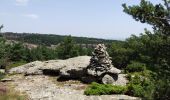 Trail Walking Saint-Martin-de-l'Arçon - le Caroux - Photo 15