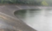 Trail Trail Capesterre-Belle-Eau - Barrage de routiers  - Photo 5