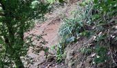 Tour Wandern Le Lorrain - La Crabiere 2 - Photo 1