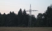 Tour Zu Fuß Holzgerlingen - DE-SAV Blauer Punkt, Böblingen - Weil im Schönbuch - Photo 3