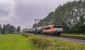 Randonnée A pied Almelo - WNW Twente - Tusveld - oranje route - Photo 3