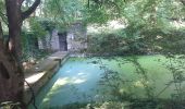 Trail Walking Chenonceaux - Chenonceaux - Photo 14