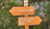 Tocht Stappen Bonson - Plan du Var : Bosson-Revest les Roches - Photo 5