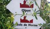 Tour Wandern Waremme - OLEYE- BOIS DE HORNE - Photo 1