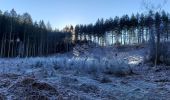 Tour Wandern Bouillon - Rochehaut 211221 - Photo 2