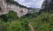 Trail Walking Roquefort-sur-Soulzon - le Combalou par le sentier des échelles - Photo 15
